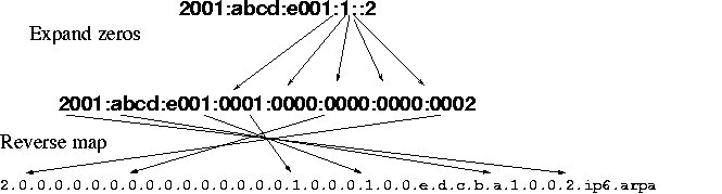 an IPv6 address into a DNS