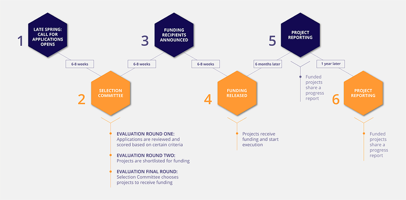 Selection Process Infographic