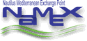 NaMeX Logo